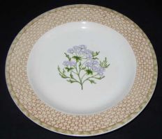 Fitz & Floyd Omnibus VEGETABLE BASKET Salad Plate "Radish"